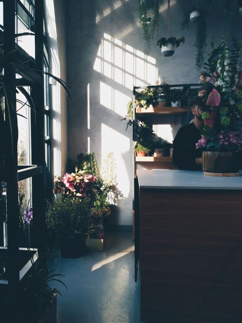 A bright interior of a flower shop featuring a floral arrangement with pink, purple, and green blooms on a wooden counter in the foreground. Several potted plants and flowers, including orchids and fe