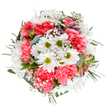 This radiant bouquet, inspired by the tranquil charm of Cowley's tree-lined avenues and community gardens, features an artful blend of classic white daisies and plush coral-pink carnations, all photographed from above against a snowy white setting. The daisies, their petals crisp and luminous around lime-hued centers, bring a pure, hopeful essence that catches the light beautifully. Clusters of soft coral carnations evoke warmth and approachability, their ruffled textures creating a lively, tactile counterpoint. Threads of light, feathery gypsophila drift between the blooms, infusing each gap with a magical softness reminiscent of early morning mist rising over Cowley Marsh. Tucked gently among these are slender, unopened buds of alstroemeria, tinged with delicate streaks of berry and rose-a subtle promise of more colour to come. Silvery-green eucalyptus and sturdy, deep foliage provide a grounded base, their hues contrasting harmoniously with the blossoms' bright optimism. The entire arrangement feels airy yet abundant, expertly balanced, and imbued with the care that defines Cowley's local flower delivery. Crafted to celebrate birthdays, cheer a friend, or grace a Cowley home with the joy of spring, this bouquet embodies renewal, gratitude, and the artistry of local florists.